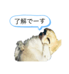 JIRO san-#1（個別スタンプ：5）