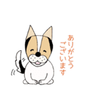 ミックス犬クルのひと言（個別スタンプ：1）