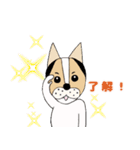 ミックス犬クルのひと言（個別スタンプ：2）