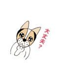 ミックス犬クルのひと言（個別スタンプ：7）