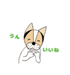 ミックス犬クルのひと言（個別スタンプ：10）