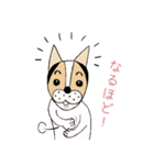ミックス犬クルのひと言（個別スタンプ：24）