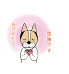 ミックス犬クルのひと言（個別スタンプ：25）