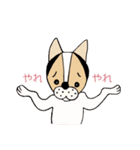 ミックス犬クルのひと言（個別スタンプ：27）