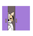 ミックス犬クルのひと言（個別スタンプ：29）