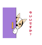 ミックス犬クルのひと言（個別スタンプ：30）