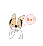 ミックス犬クルのひと言（個別スタンプ：36）