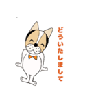 ミックス犬クルのひと言（個別スタンプ：38）