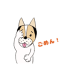 ミックス犬クルのひと言（個別スタンプ：39）