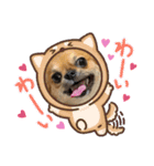 おひげのチワワ（個別スタンプ：2）