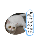 おもちゃん⑤（個別スタンプ：2）