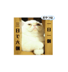 おもちゃん⑤（個別スタンプ：10）