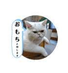 おもちゃん⑤（個別スタンプ：13）