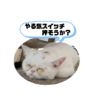 おもちゃん⑤（個別スタンプ：14）