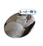 おもちゃん⑤（個別スタンプ：23）
