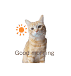 可愛すぎるねこさん（個別スタンプ：1）