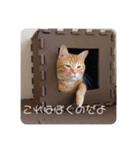 可愛すぎるねこさん（個別スタンプ：4）