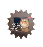 可愛すぎるねこさん（個別スタンプ：6）
