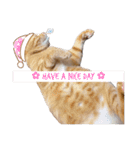 可愛すぎるねこさん（個別スタンプ：13）