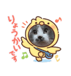 あにまるペット達1（個別スタンプ：3）