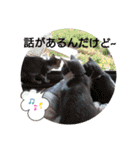 あにまるペット達1（個別スタンプ：18）
