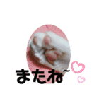 あにまるペット達1（個別スタンプ：22）