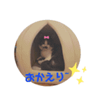 あにまるペット達1（個別スタンプ：28）