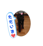 あにまるペット達1（個別スタンプ：32）