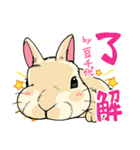 201128うさぎの豆千代（個別スタンプ：2）