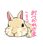 201128うさぎの豆千代（個別スタンプ：3）
