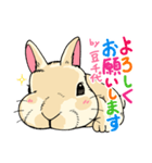 201128うさぎの豆千代（個別スタンプ：4）