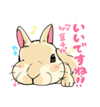 201128うさぎの豆千代（個別スタンプ：5）