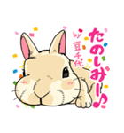 201128うさぎの豆千代（個別スタンプ：6）