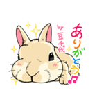 201128うさぎの豆千代（個別スタンプ：7）
