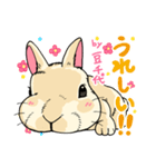 201128うさぎの豆千代（個別スタンプ：8）