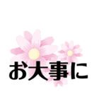 徳島 南方言葉（デカ文字3）（個別スタンプ：36）