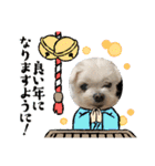 ミルクちゃんのお年賀（いぬ）1（個別スタンプ：1）