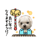 ミルクちゃんのお年賀（いぬ）1（個別スタンプ：2）
