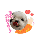 ミルクちゃんのお年賀（いぬ）1（個別スタンプ：4）