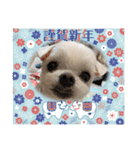 ミルクちゃんのお年賀（いぬ）1（個別スタンプ：5）