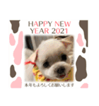 ミルクちゃんのお年賀（いぬ）1（個別スタンプ：7）