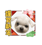 ミルクちゃんのお年賀（いぬ）1（個別スタンプ：9）