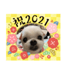 ミルクちゃんのお年賀（いぬ）1（個別スタンプ：10）