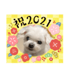ミルクちゃんのお年賀（いぬ）1（個別スタンプ：11）