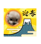 ミルクちゃんのお年賀（いぬ）1（個別スタンプ：12）