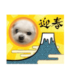 ミルクちゃんのお年賀（いぬ）1（個別スタンプ：13）