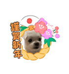 ミルクちゃんのお年賀（いぬ）1（個別スタンプ：14）
