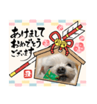 ミルクちゃんのお年賀（いぬ）1（個別スタンプ：15）