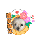 ミルクちゃんのお年賀（いぬ）1（個別スタンプ：17）