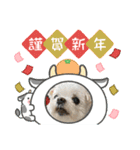 ミルクちゃんのお年賀（いぬ）1（個別スタンプ：18）